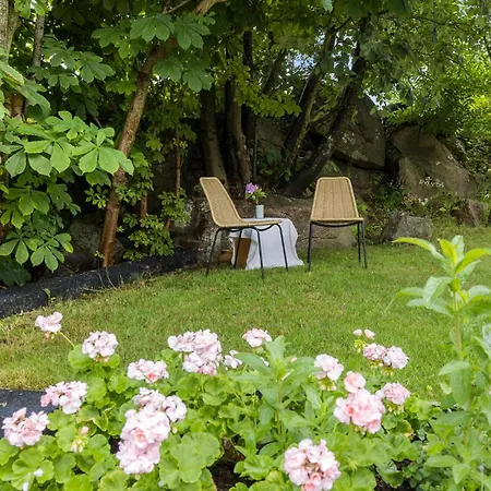 Cozy In With Wifi * Allinge-Sandvig